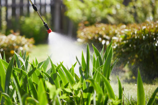 24/7 Emergency Wasp Removal experts in Virden, IL