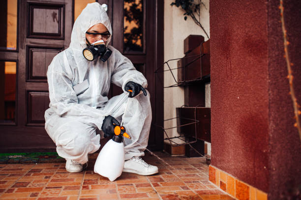 Reliable Wasp Removal contractor in Virden, IL by Show Me Pest Control