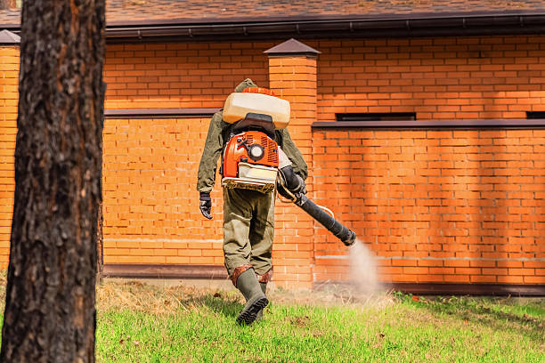 Top rated local Wasp Removal specialists in Virden, IL